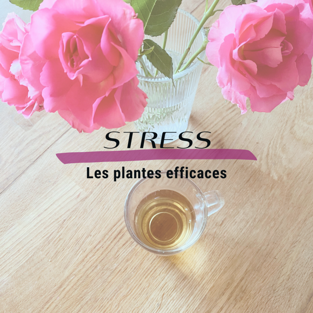Apaiser son stress par les plantes avec Réflexoé