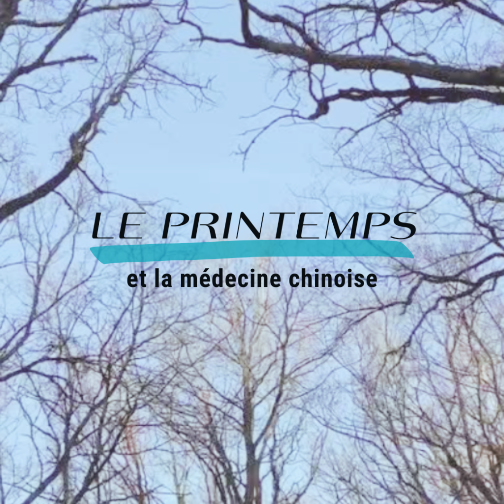 Le Printemps : Un Nouveau Souffle pour Votre Équilibre Énergétique 🍃