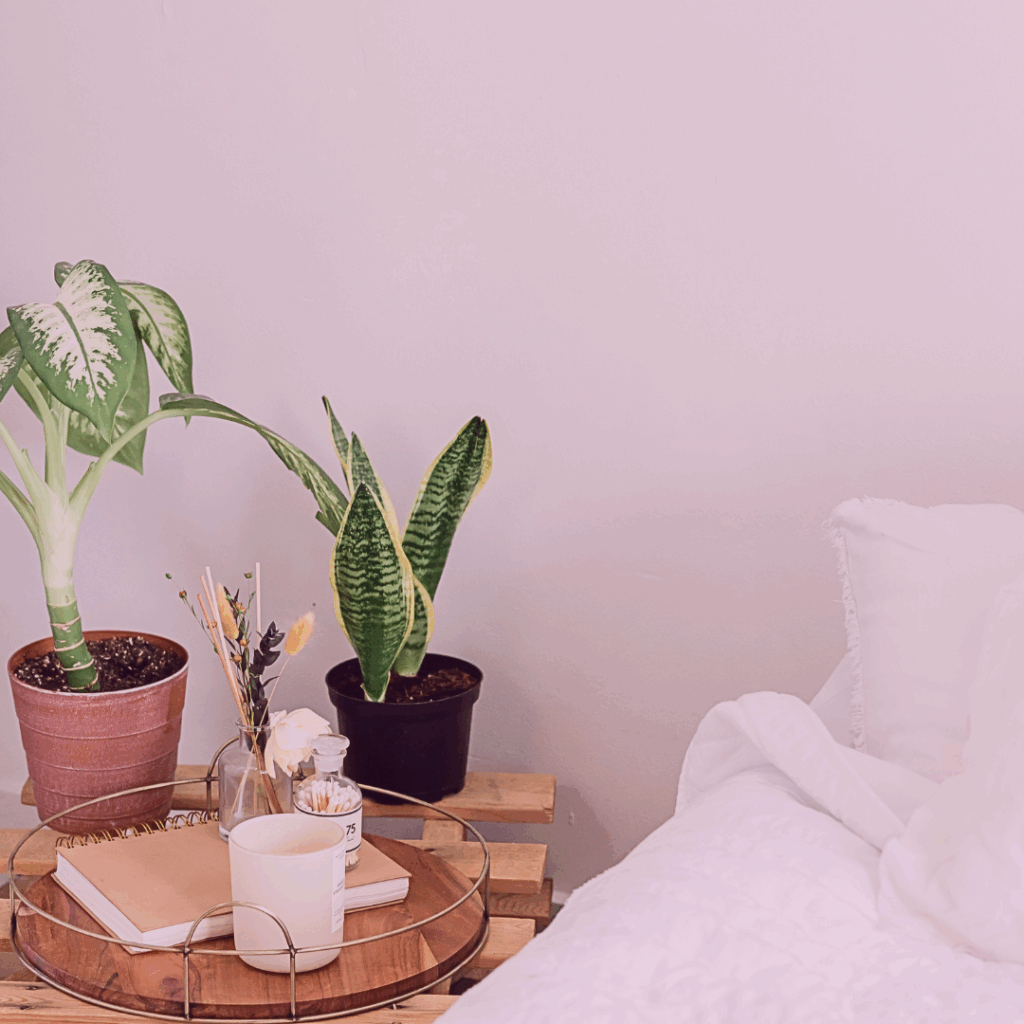 sommeil canicule conseils naturels - Réflexoé